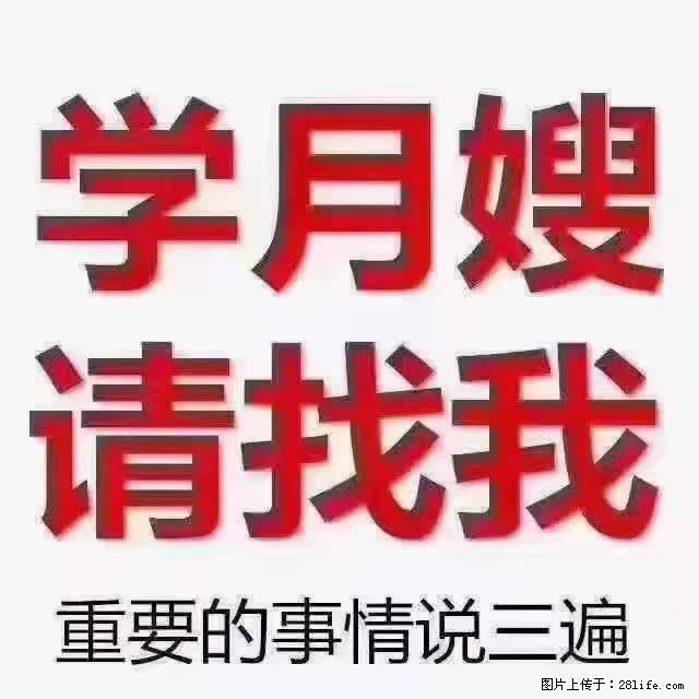 为什么要学习月嫂,育婴师? - 新手上路 - 资阳生活社区 - 资阳28生活网 zy.28life.com