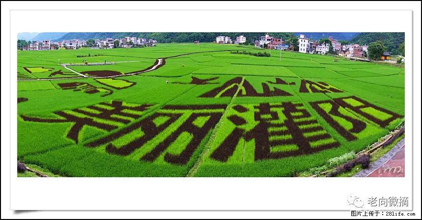 【春天,广西桂林灌阳县向您发出邀请!】开篇 - 游山玩水 - 资阳生活社区 - 资阳28生活网 zy.28life.com