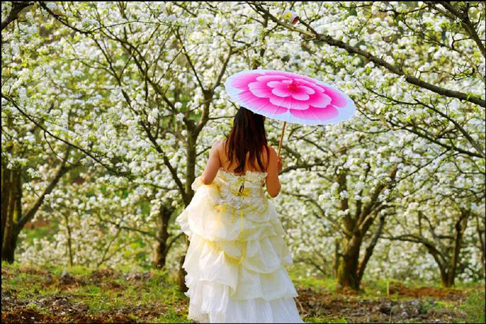 【春天,广西桂林灌阳县向您发出邀请!】我们在灌阳看梨花 - 游山玩水 - 资阳生活社区 - 资阳28生活网 zy.28life.com