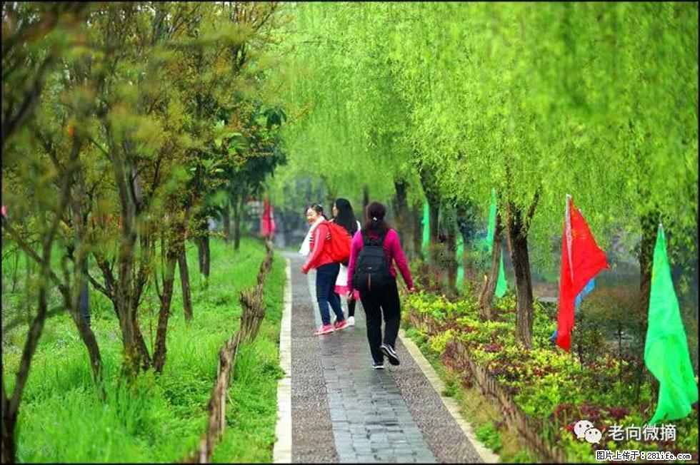 【春天,广西桂林灌阳县向您发出邀请!】江口老街又逢春 - 游山玩水 - 资阳生活社区 - 资阳28生活网 zy.28life.com