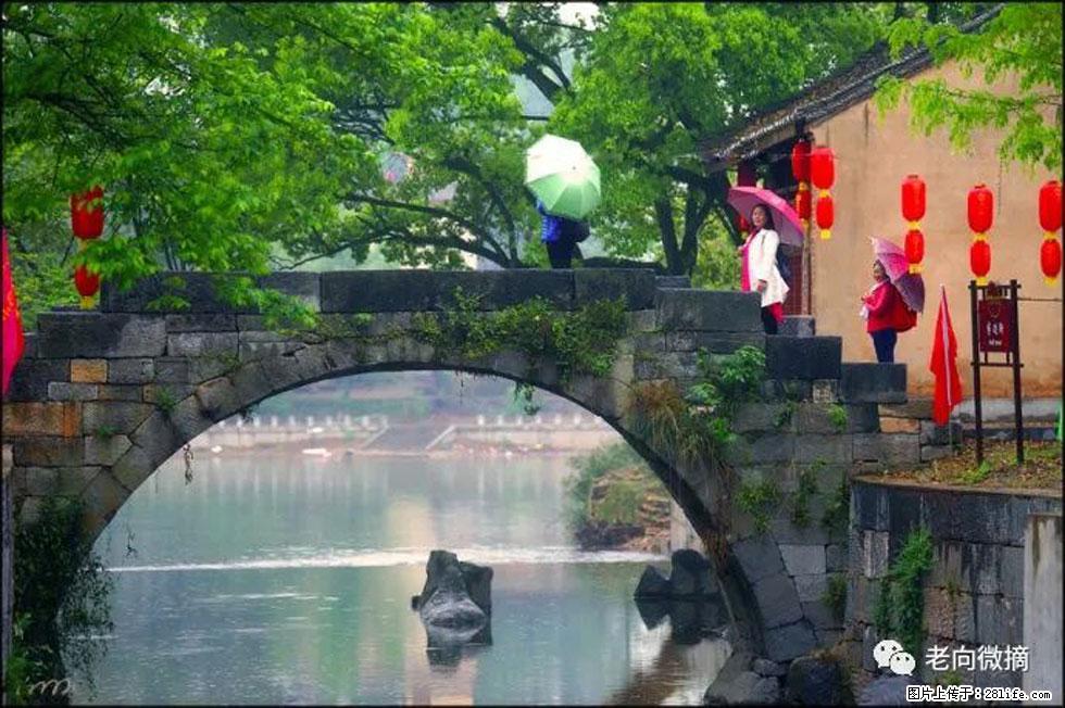 【春天,广西桂林灌阳县向您发出邀请!】江口老街又逢春 - 游山玩水 - 资阳生活社区 - 资阳28生活网 zy.28life.com