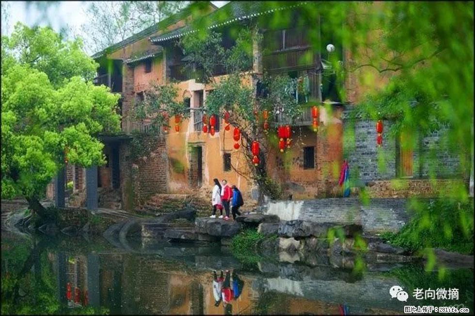 【春天,广西桂林灌阳县向您发出邀请!】江口老街又逢春 - 游山玩水 - 资阳生活社区 - 资阳28生活网 zy.28life.com