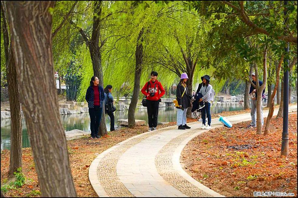 【春天,广西桂林灌阳县向您发出邀请!】江口老街又逢春 - 游山玩水 - 资阳生活社区 - 资阳28生活网 zy.28life.com