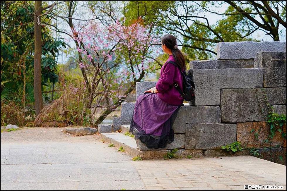 【春天,广西桂林灌阳县向您发出邀请!】江口老街又逢春 - 游山玩水 - 资阳生活社区 - 资阳28生活网 zy.28life.com