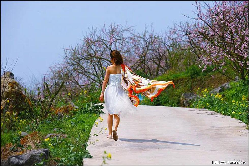 【春天,广西桂林灌阳县向您发出邀请!】望月岭上桃花开 - 游山玩水 - 资阳生活社区 - 资阳28生活网 zy.28life.com