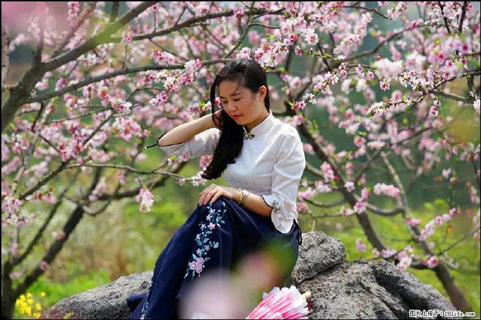 【春天,广西桂林灌阳县向您发出邀请!】望月岭上桃花开 - 游山玩水 - 资阳生活社区 - 资阳28生活网 zy.28life.com