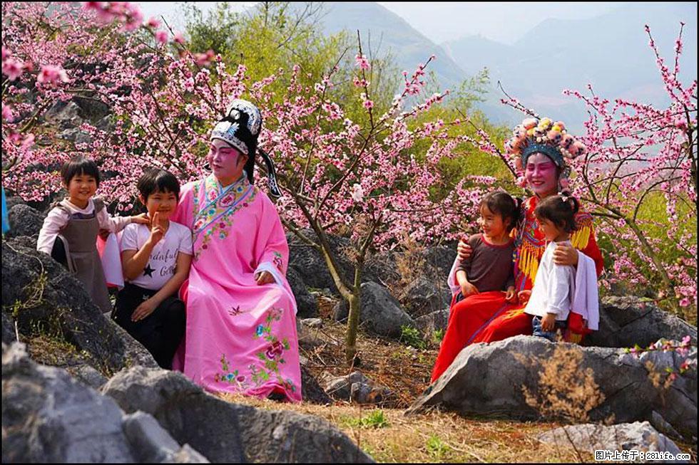 【春天,广西桂林灌阳县向您发出邀请!】望月岭上桃花开 - 游山玩水 - 资阳生活社区 - 资阳28生活网 zy.28life.com