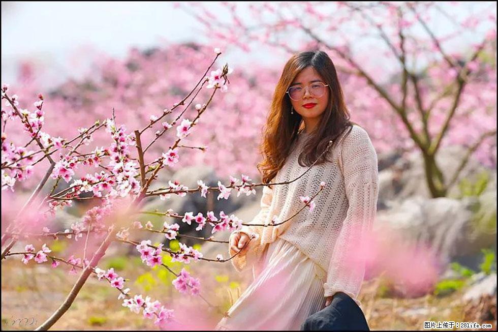 【春天,广西桂林灌阳县向您发出邀请!】望月岭上桃花开 - 游山玩水 - 资阳生活社区 - 资阳28生活网 zy.28life.com