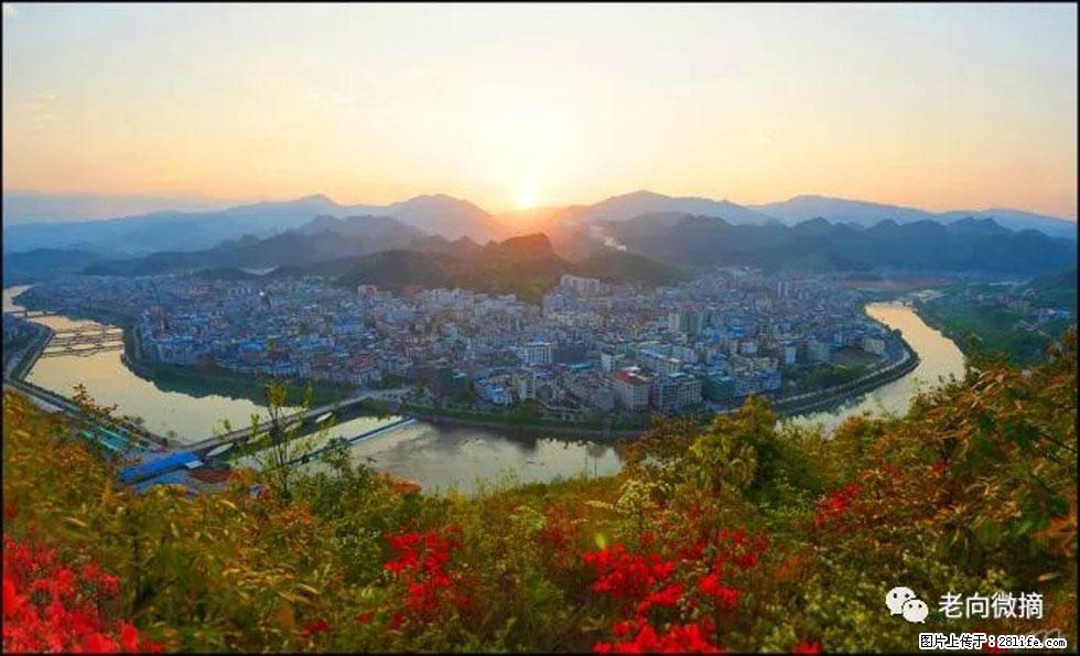 【春天,广西桂林灌阳县向您发出邀请!】登麒麟山,相约映山红 - 游山玩水 - 资阳生活社区 - 资阳28生活网 zy.28life.com