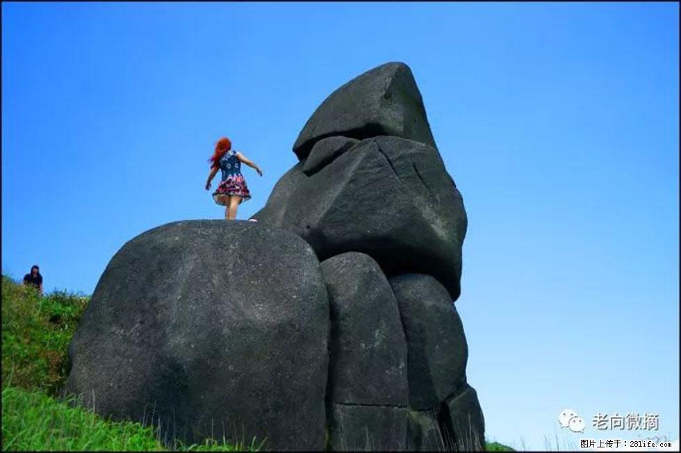 【春天,广西桂林灌阳县向您发出邀请!】宝盖山上映山红 - 游山玩水 - 资阳生活社区 - 资阳28生活网 zy.28life.com