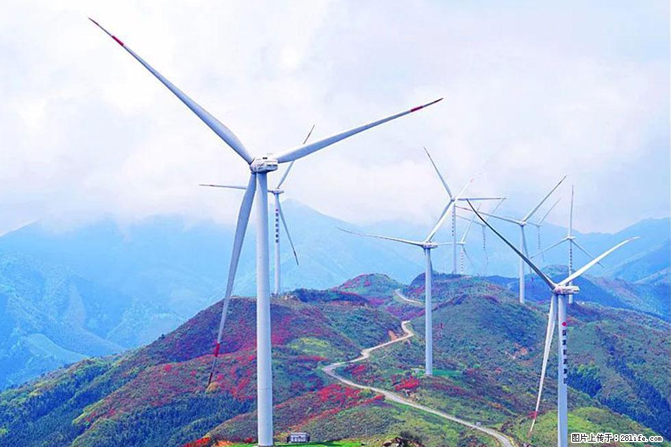 【春天,广西桂林灌阳县向您发出邀请!】春木界上映山红 - 游山玩水 - 资阳生活社区 - 资阳28生活网 zy.28life.com