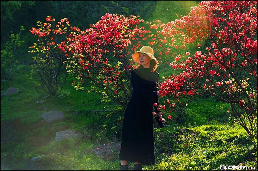 【春天,广西桂林灌阳县向您发出邀请!】春木界上映山红 - 游山玩水 - 资阳生活社区 - 资阳28生活网 zy.28life.com