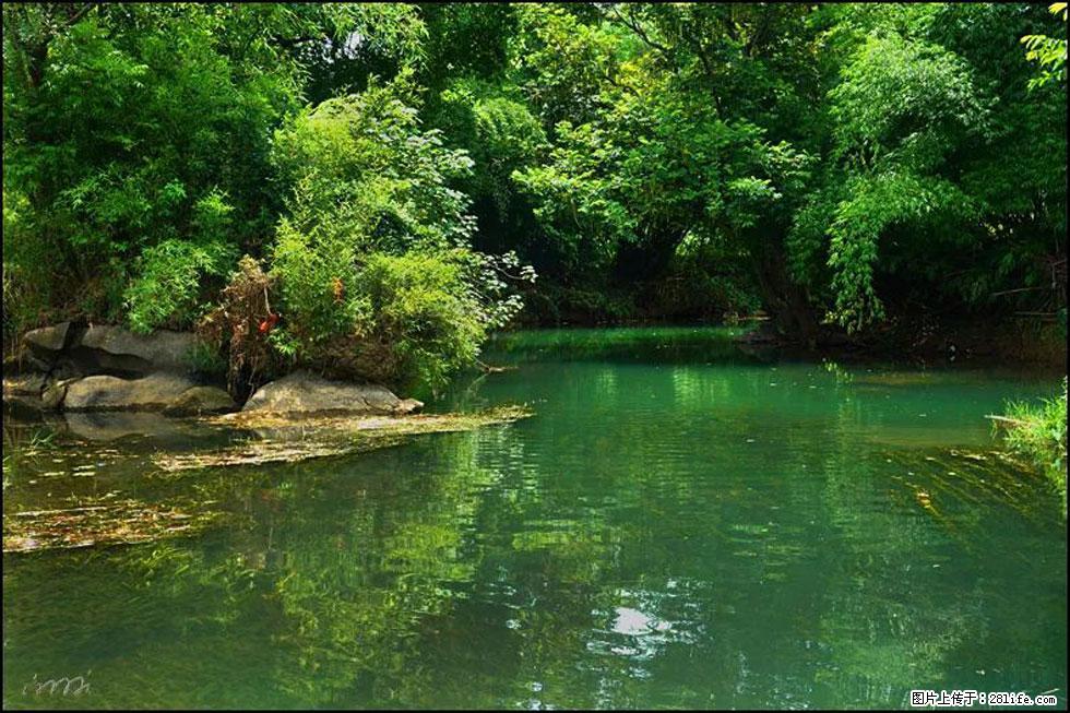 【春天,广西桂林灌阳县向您发出邀请!】如梦似幻莲溪庐 - 游山玩水 - 资阳生活社区 - 资阳28生活网 zy.28life.com