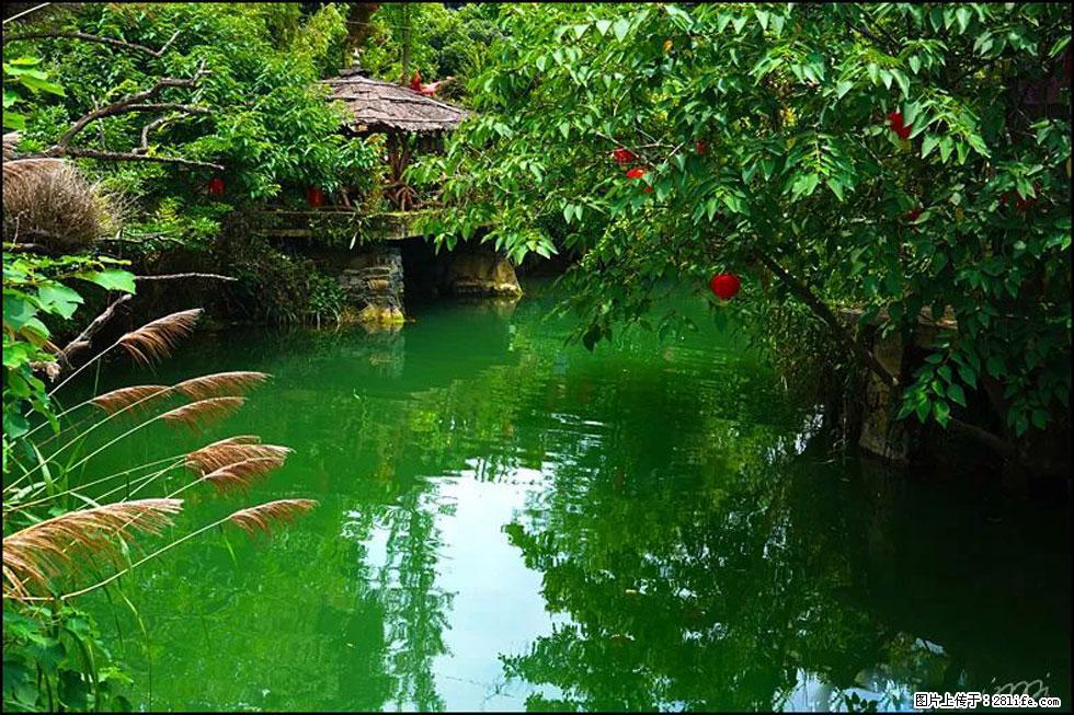 【春天,广西桂林灌阳县向您发出邀请!】如梦似幻莲溪庐 - 游山玩水 - 资阳生活社区 - 资阳28生活网 zy.28life.com