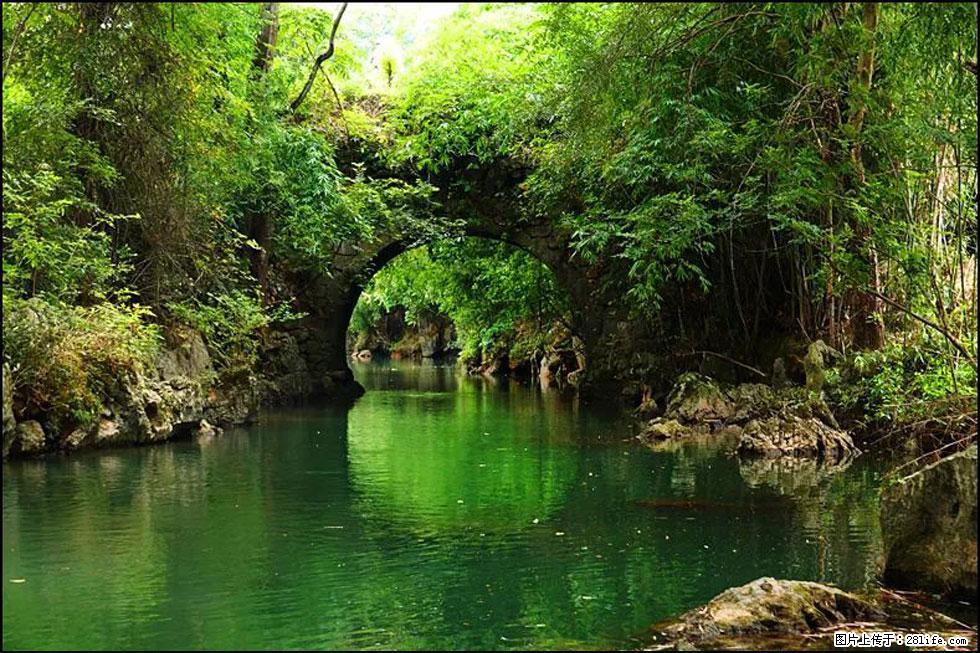 【春天,广西桂林灌阳县向您发出邀请!】如梦似幻莲溪庐 - 游山玩水 - 资阳生活社区 - 资阳28生活网 zy.28life.com