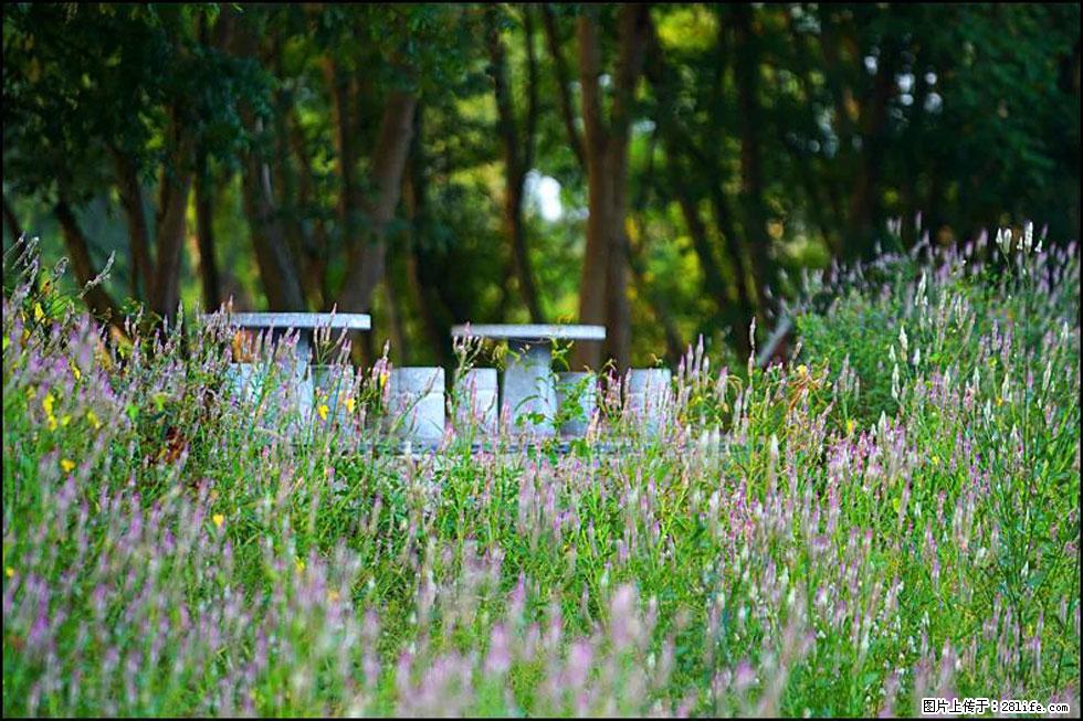 【春天,广西桂林灌阳县向您发出邀请!】熊家寨湿地公园 - 游山玩水 - 资阳生活社区 - 资阳28生活网 zy.28life.com