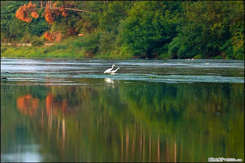 【春天,广西桂林灌阳县向您发出邀请!】熊家寨湿地公园 - 游山玩水 - 资阳生活社区 - 资阳28生活网 zy.28life.com