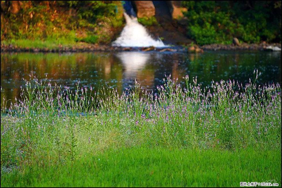 【春天,广西桂林灌阳县向您发出邀请!】熊家寨湿地公园 - 游山玩水 - 资阳生活社区 - 资阳28生活网 zy.28life.com