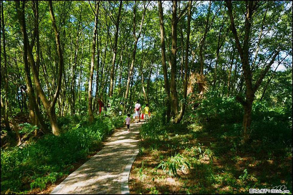 【春天,广西桂林灌阳县向您发出邀请!】熊家寨湿地公园 - 游山玩水 - 资阳生活社区 - 资阳28生活网 zy.28life.com