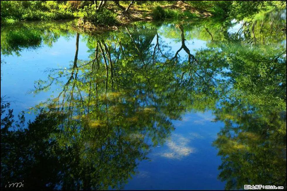 【春天,广西桂林灌阳县向您发出邀请!】熊家寨湿地公园 - 游山玩水 - 资阳生活社区 - 资阳28生活网 zy.28life.com