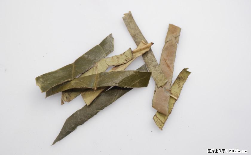 苦丁茶有哪些功效和作用 - 生活百科 - 资阳生活社区 - 资阳28生活网 zy.28life.com