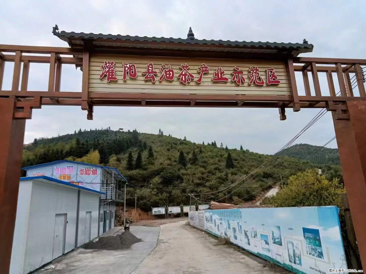 【灌阳县油茶产业示范区】一个有着充实的精神生活的人,对待身外之物自会有一种淡泊的态度 - 土特产 - 饮食特产 - 资阳分类信息 - 资阳28生活网 zy.28life.com