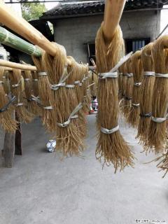 【灌阳正宗红薯粉】美女家里自己做的，干净卫生，假一赔十，价格合理，抢购电话：13737312895 - 资阳28生活网 zy.28life.com