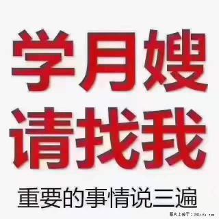 为什么要学习月嫂，育婴师？ - 资阳28生活网 zy.28life.com