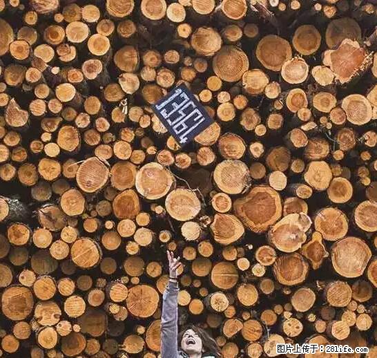 辞掉工作周游世界?现在他们在洗厕所…… - 游山玩水 - 资阳生活社区 - 资阳28生活网 zy.28life.com