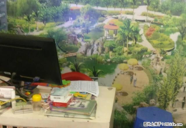 上西后街广播电视局对面套二出租 - 房屋出租 - 房屋租售 - 资阳分类信息 - 资阳28生活网 zy.28life.com