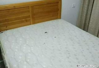 乐至晶鑫怡园2室2厅1卫精装家具家电月租650元 - 资阳28生活网 zy.28life.com