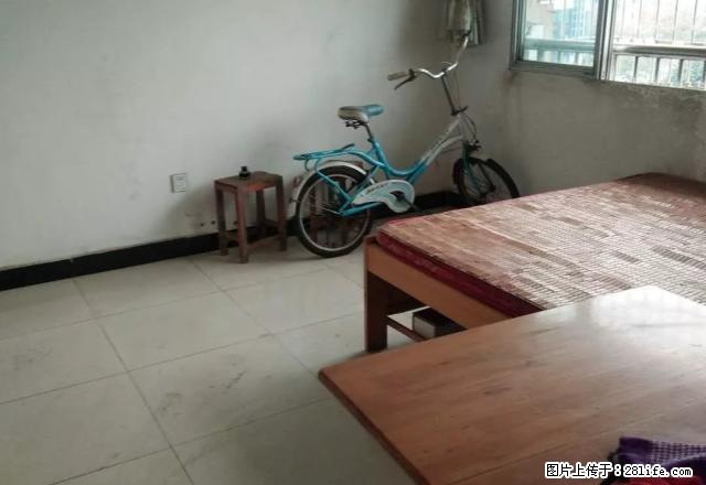 资溪花园B区中装，三室二厅一卫，家具家电齐，拎包入住 - 房屋出租 - 房屋租售 - 资阳分类信息 - 资阳28生活网 zy.28life.com