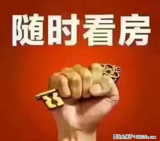 万达公寓楼 24楼 48平米 精装可办公 可居住 1200月 - 资阳28生活网 zy.28life.com
