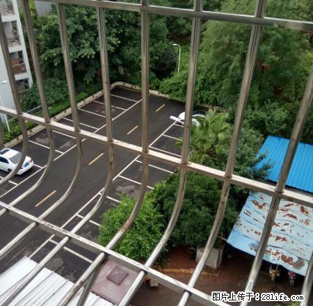 金洋花园2楼，精装套二.漂亮宽敞 - 房屋出租 - 房屋租售 - 资阳分类信息 - 资阳28生活网 zy.28life.com