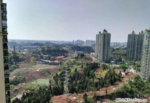 城南恒大城,精装套一,一口价每月900元,机会难得,欲租从速 - 房屋出租 - 房屋租售 - 资阳分类信息 - 资阳28生活网 zy.28life.com