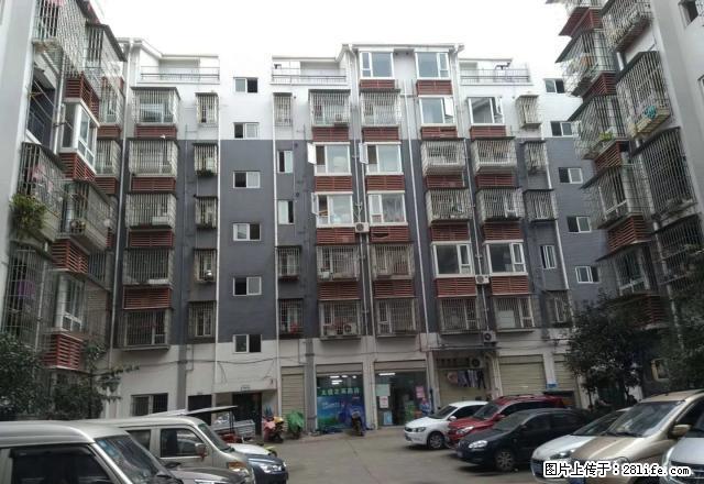 八小后面刘家湾安置小区7楼70平方一室一厅精装家具家电齐全 - 房屋出租 - 房屋租售 - 资阳分类信息 - 资阳28生活网 zy.28life.com