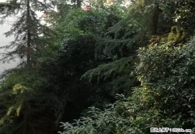 花果山3楼1室1厅，清水房，部份家具 - 房屋出租 - 房屋租售 - 资阳分类信息 - 资阳28生活网 zy.28life.com