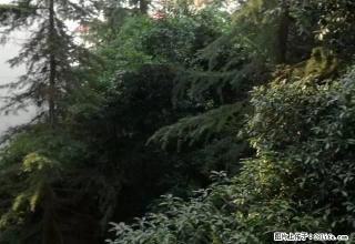 花果山3楼1室1厅，清水房，部份家具 - 资阳28生活网 zy.28life.com