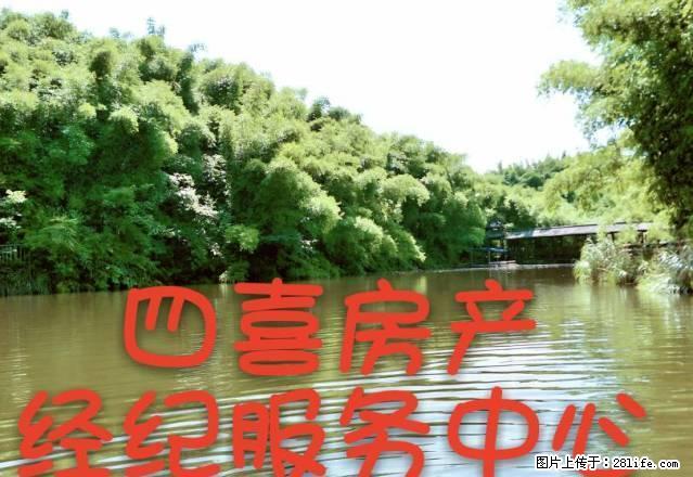 雁江二中观音阁居委会上面！精装套三，家具家电齐！拎包入住 - 房屋出租 - 房屋租售 - 资阳分类信息 - 资阳28生活网 zy.28life.com