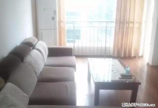 江南半岛精装套三直接拎包入住三室两厅 朝向河边风景视野不错！ - 资阳28生活网 zy.28life.com