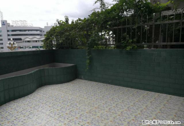 (单间出租)雁江区外水巷3楼，两室，装修，600元 - 房屋出租 - 房屋租售 - 资阳分类信息 - 资阳28生活网 zy.28life.com