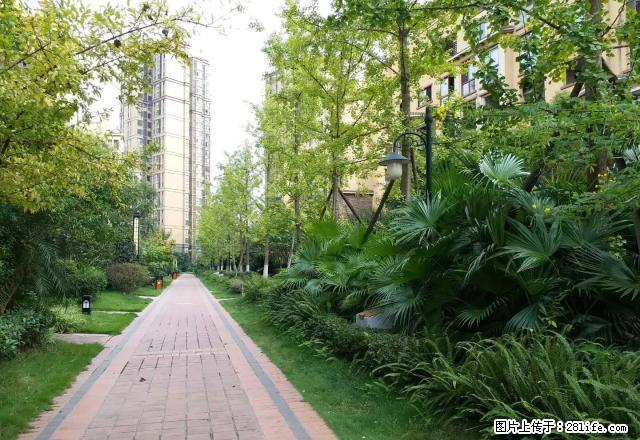 资阳雁江区恒大城豪装套三房屋出租 - 房屋出租 - 房屋租售 - 资阳分类信息 - 资阳28生活网 zy.28life.com