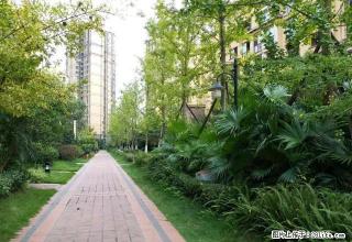 资阳雁江区恒大城豪装套三房屋出租 - 资阳28生活网 zy.28life.com