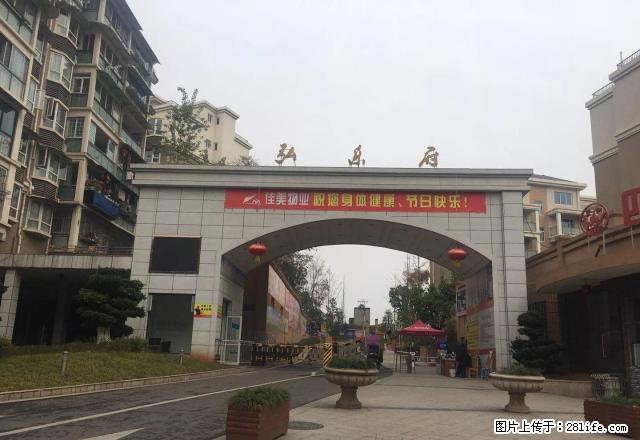 出租弘乐府5楼 精装新房 未住过人带家具家电 1200元/月 - 房屋出租 - 房屋租售 - 资阳分类信息 - 资阳28生活网 zy.28life.com