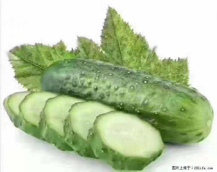 【生活小常识】吃黄瓜的好处 - 生活百科 - 资阳生活社区 - 资阳28生活网 zy.28life.com