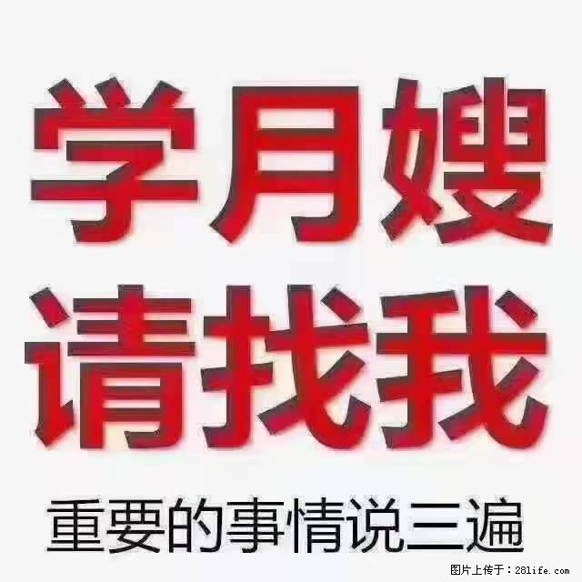 【招聘】月嫂,上海徐汇区 - 职场交流 - 资阳生活社区 - 资阳28生活网 zy.28life.com