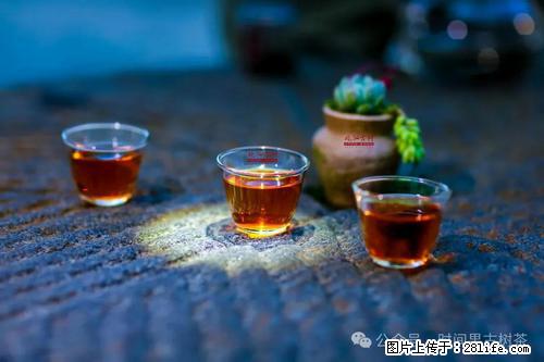 时间果百年古树2025年春红茶 - 购物交流 - 资阳生活社区 - 资阳28生活网 zy.28life.com