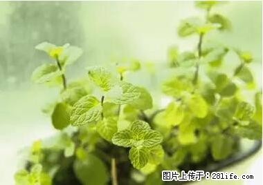 晕车、脚气、牙齿变黄、皮肤粗糙?学会这些三分钟搞定! - 资阳生活资讯 - 资阳28生活网 zy.28life.com