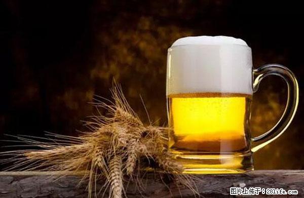 原来它这么毒,然而竟然满大街都是.... - 资阳生活资讯 - 资阳28生活网 zy.28life.com