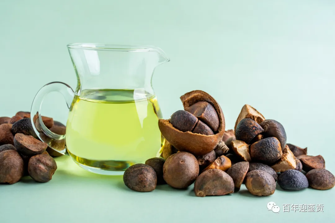 世界没有真相,只有认知,最好的食用油是中国的山茶油! - 资阳生活资讯 - 资阳28生活网 zy.28life.com